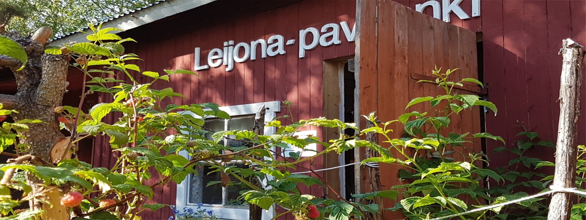 Aurora Template by BLOCS PREMIUM